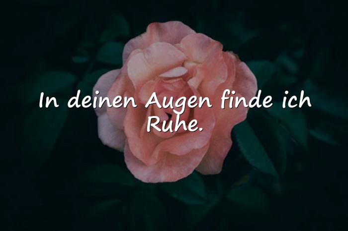 Bilder mit sprüche liebe - 20