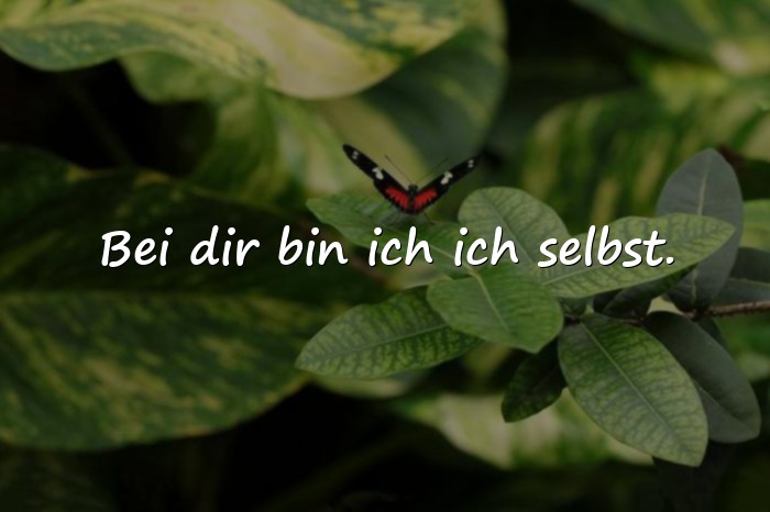Bilder mit sprüche liebe - 12