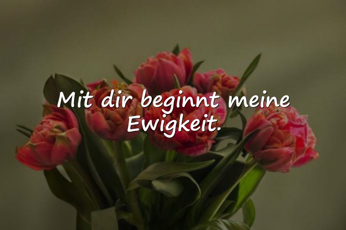 Bilder mit sprüche liebe - 1