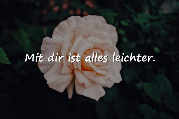 Bilder mit sprüche liebe des lebens - 12