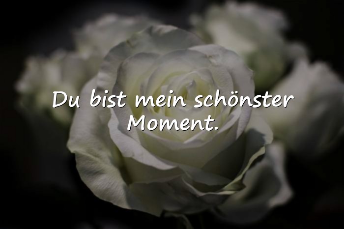 Bilder mit sprüche liebe des lebens - 4