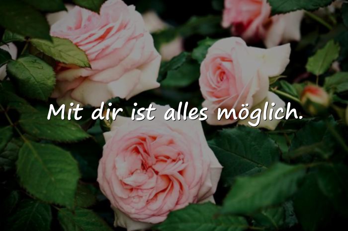 Bilder mit sprüche liebe des lebens - 11
