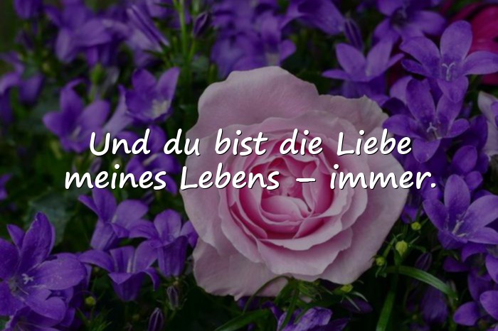Bilder mit sprüche liebe des lebens - 1