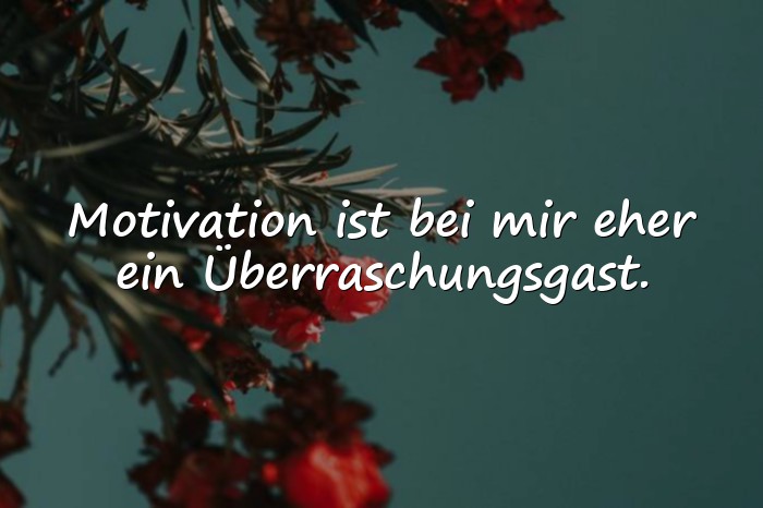 Bilder mit sprüche lustig - 10
