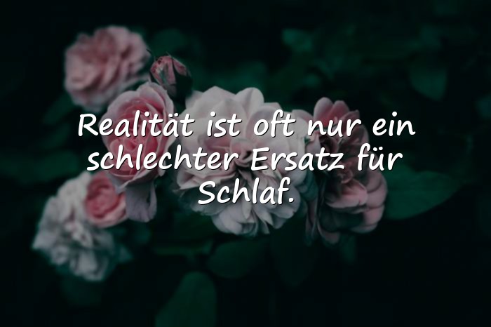 Bilder mit sprüche lustig - 21