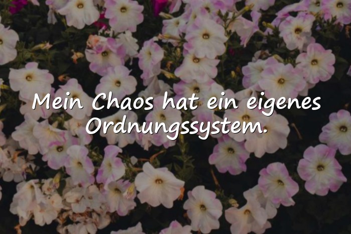 Bilder mit sprüche lustig - 16