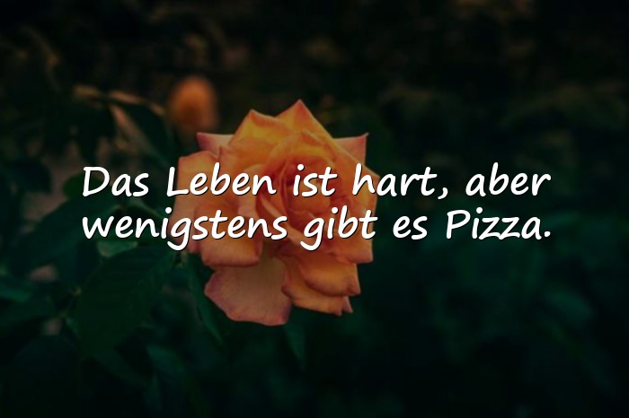 Bilder mit sprüche lustig - 11
