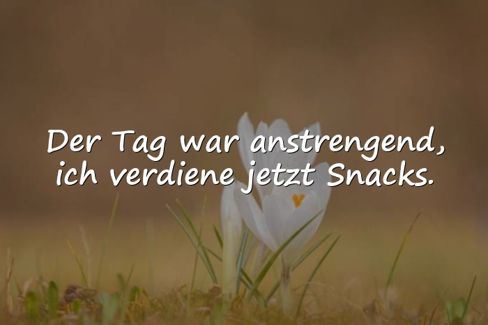 Bilder mit sprüche lustig - 6