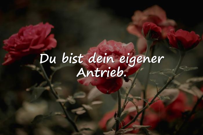 Bilder mit sprüche motivation - 20