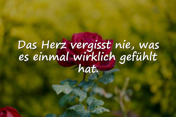 Bilder mit sprüche nachdenken - 7