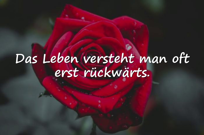 Bilder mit sprüche nachdenken - 1
