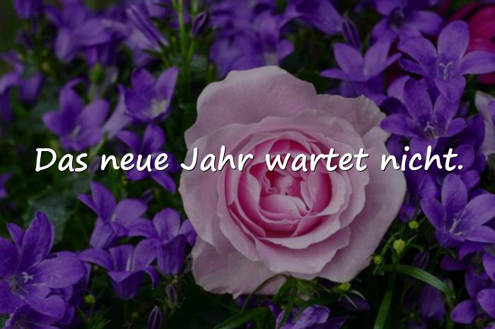 Bilder mit sprüche neues jahr - 17