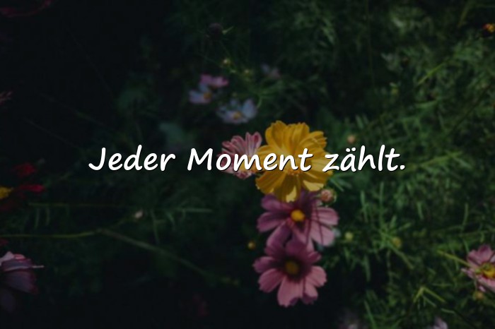 Bilder mit sprüche neues jahr - 11