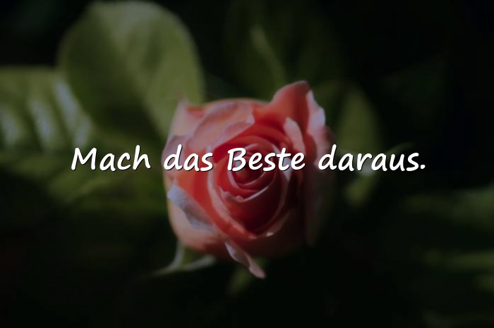Bilder mit sprüche neues jahr - 8