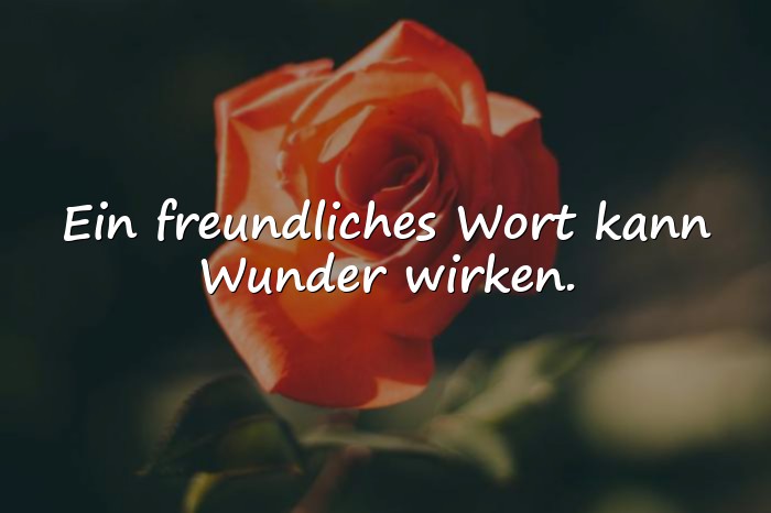 Bilder mit sprüche schön - 18