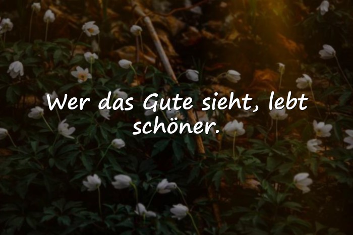 Bilder mit sprüche schön - 5