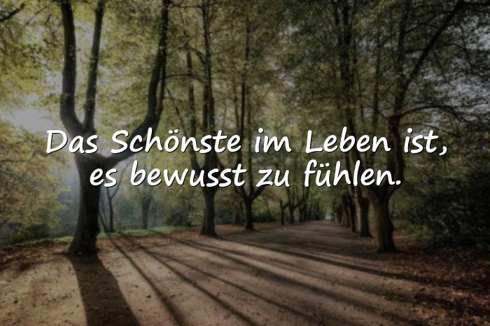 Bilder mit sprüche schön - 1
