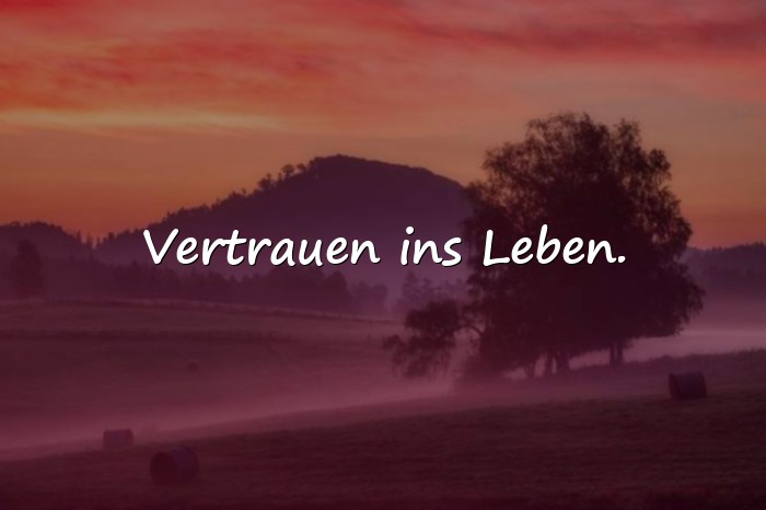 Bilder mit sprüche status - 25