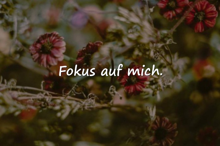 Bilder mit sprüche status - 24