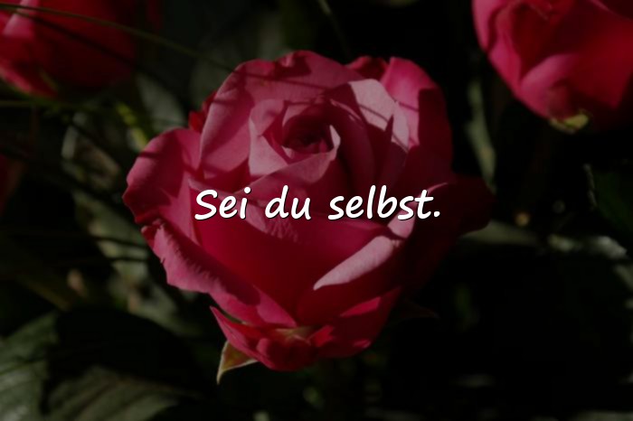 Bilder mit sprüche status - 19