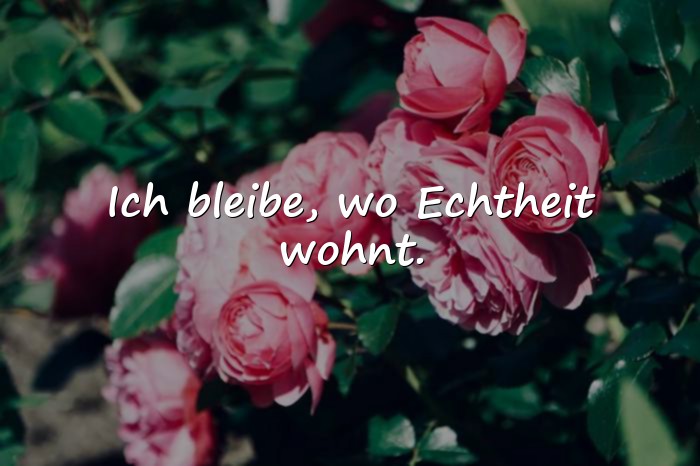 Bilder mit sprüche status - 6