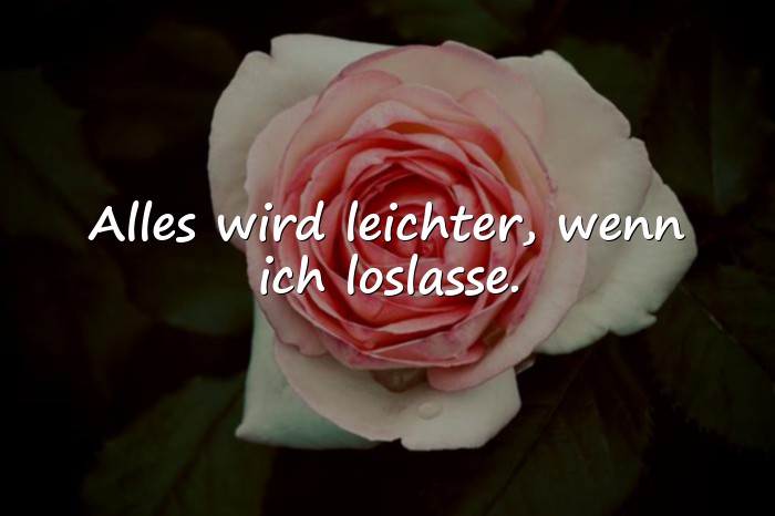 Bilder mit sprüche status - 21