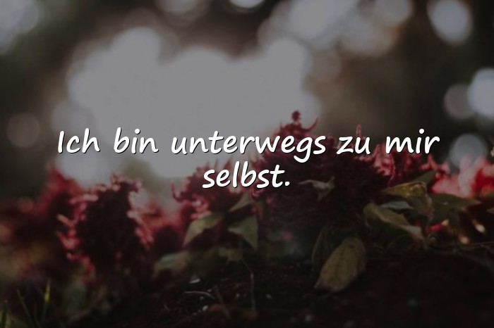 Bilder mit sprüche status - 8