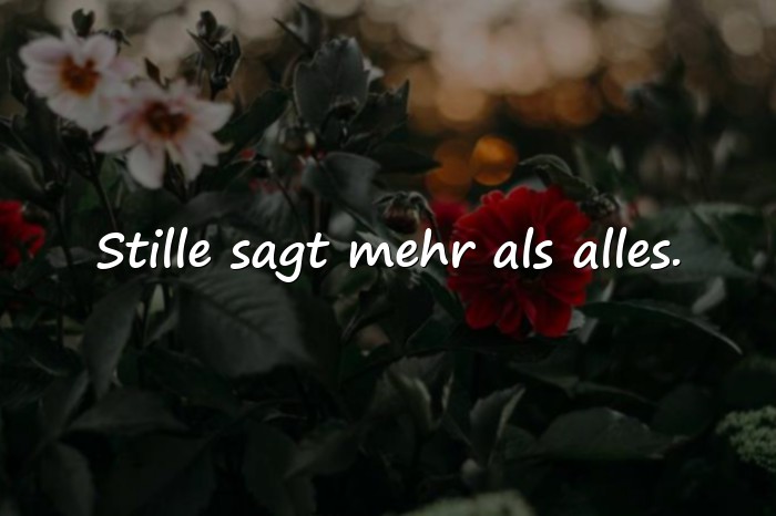 Bilder mit sprüche status - 9