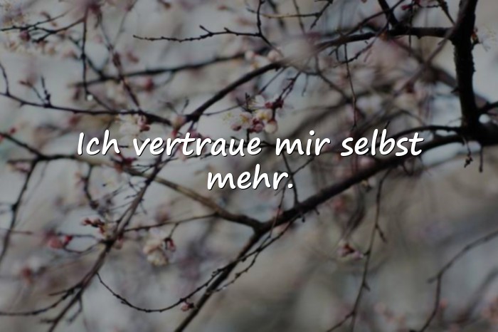 Bilder mit sprüche status - 24