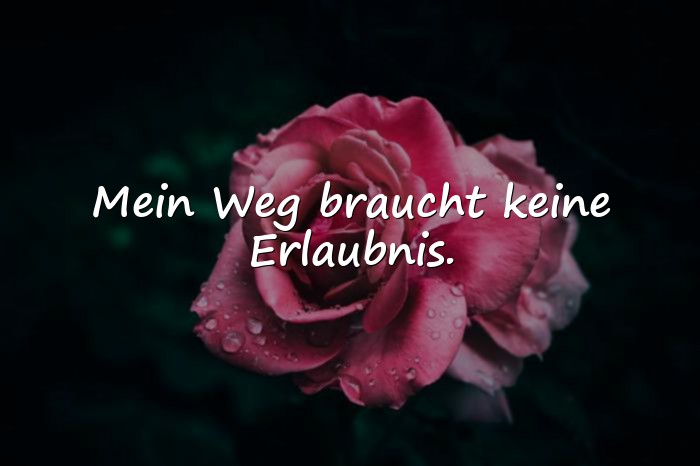 Bilder mit sprüche status - 19