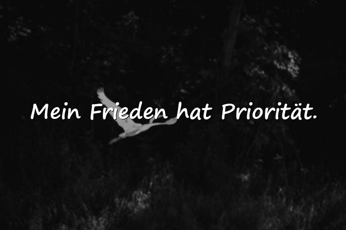 Bilder mit sprüche status - 11