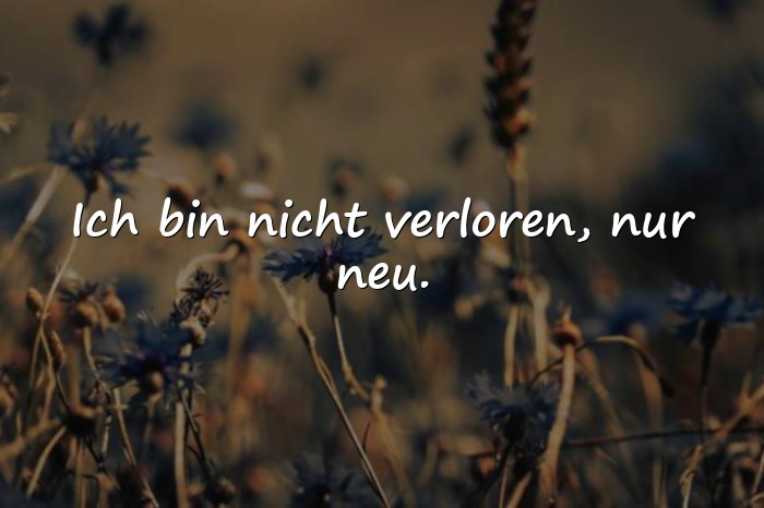 Bilder mit sprüche status - 7