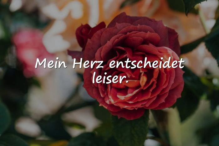 Bilder mit sprüche status - 8