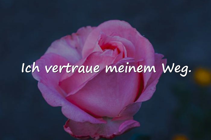 Bilder mit sprüche status - 4