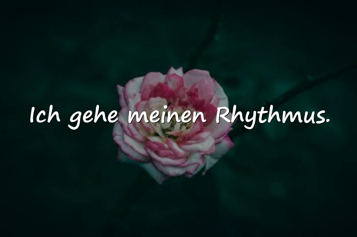 Bilder mit sprüche status - 11