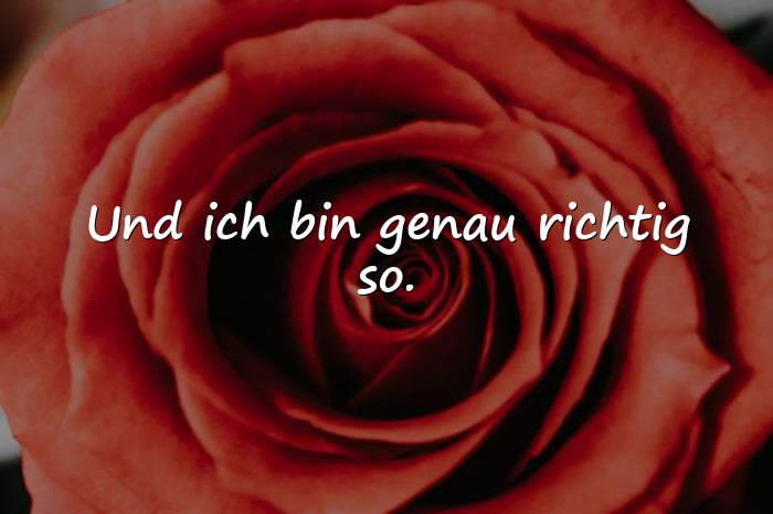Bilder mit sprüche status - 1