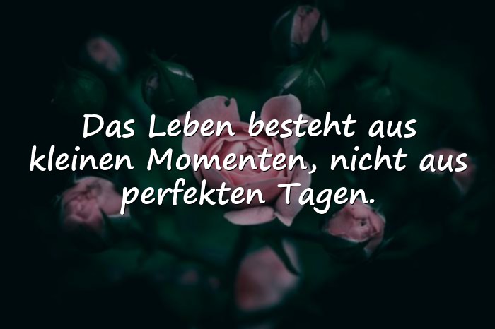 Bilder mit sprüche über das leben - 6