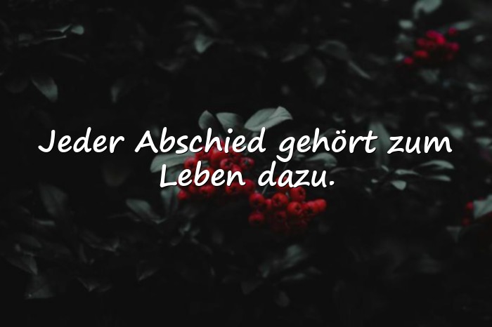 Bilder mit sprüche über das leben - 1