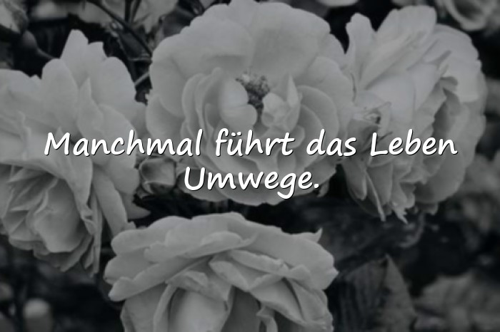 Bilder mit sprüche über das leben - 19
