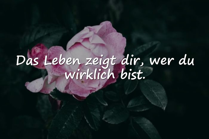 Bilder mit sprüche über das leben - 18