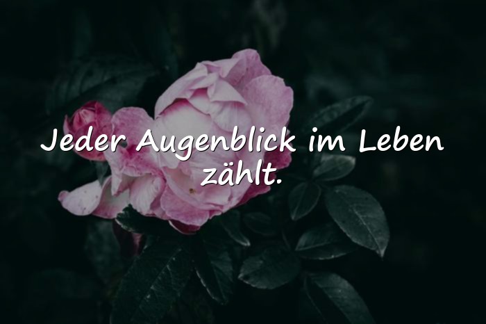 Bilder mit sprüche über das leben - 11