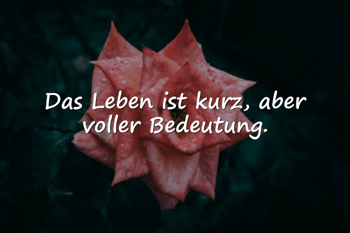 Bilder mit sprüche über das leben - 10