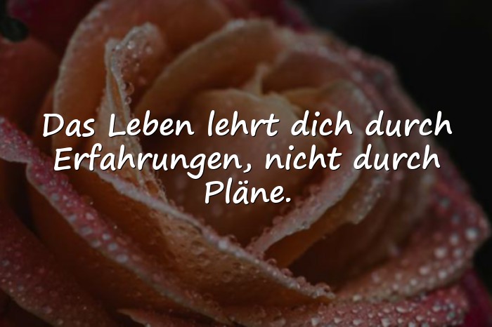 Bilder mit sprüche über das leben zum nachdenken - 12