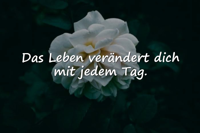 Bilder mit sprüche über das leben zum nachdenken - 3