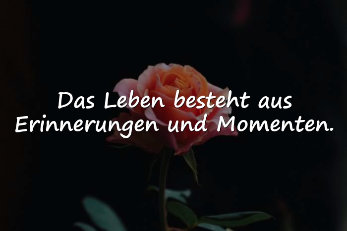 Bilder mit sprüche über das leben zum nachdenken - 21