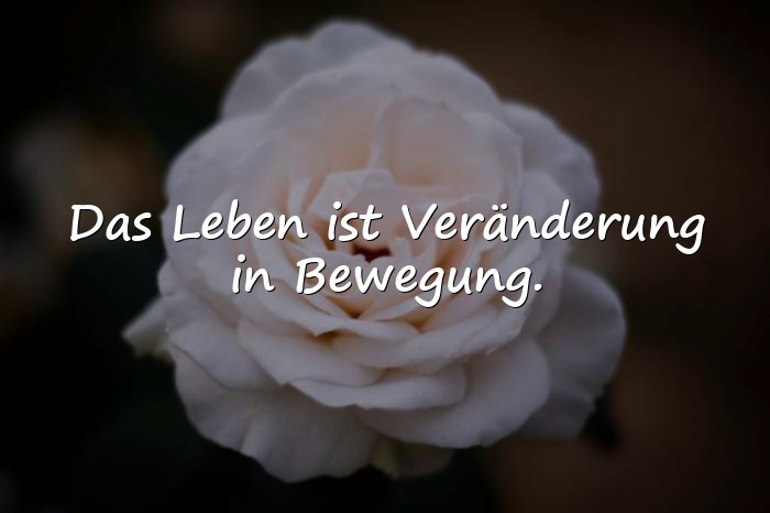 Bilder mit sprüche über das leben zum nachdenken - 5