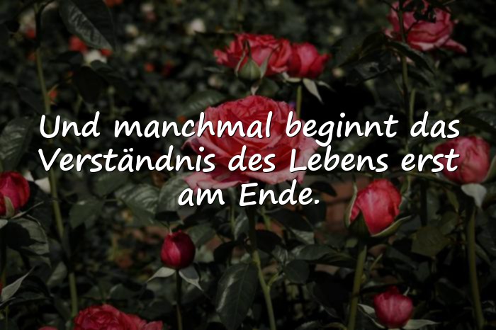 Bilder mit sprüche über das leben zum nachdenken - 1