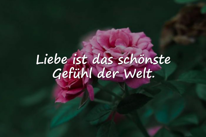 Bilder mit sprüche über die liebe - 24