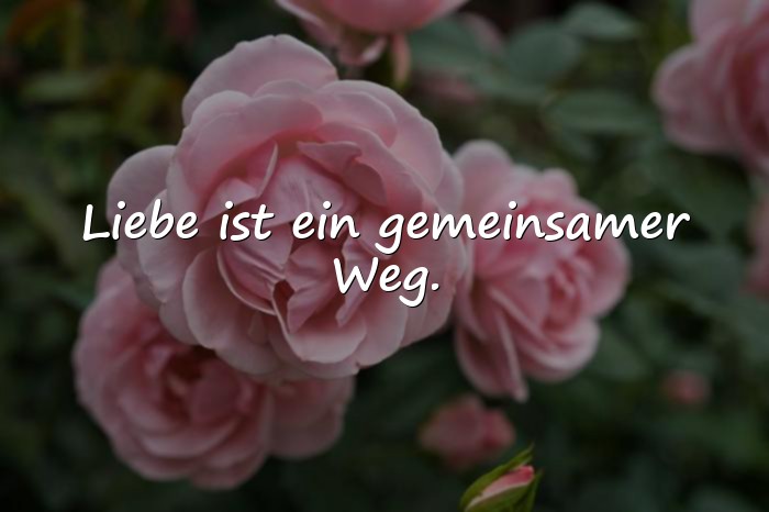 Bilder mit sprüche über die liebe - 17