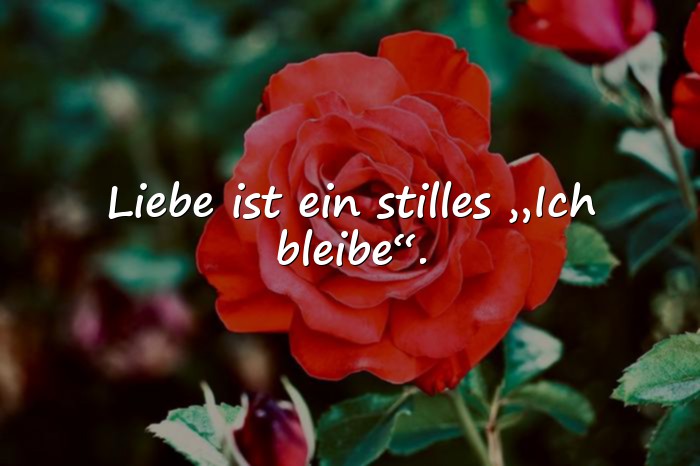 Bilder mit sprüche über die liebe - 10